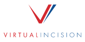 vi logo